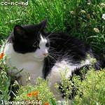 Josefa Blanda Profile Picture