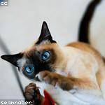 Glenda Schowalter Profile Picture