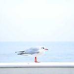 Filomena Effertz Profile Picture