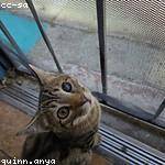 Greta Reinger Profile Picture