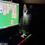 Delpha Hessel Profile Picture