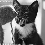 Katlynn Mann Profile Picture