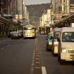 Lila Beer Profile Picture