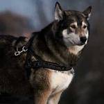 Nyah Ernser Profile Picture