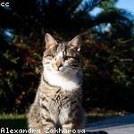 Abelardo Wiegand Profile Picture