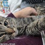 Emily Batz Profile Picture