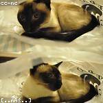 Winfield Reichert Profile Picture