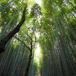 Kristina Maggio Profile Picture