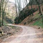 Bryce Larson Profile Picture