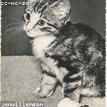 Yadira Wolff Profile Picture