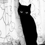 Bethel Bartoletti Profile Picture
