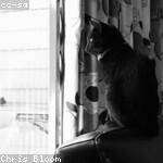 Charlie Bernhard Profile Picture