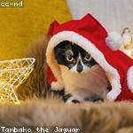 Zoila Balistreri Profile Picture