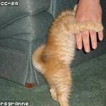 Terrence Hoppe Profile Picture