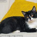 Yvonne Turner Profile Picture