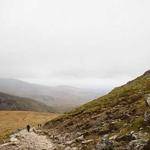 Fay Waelchi Profile Picture