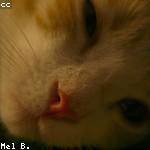 Maye Windler Profile Picture