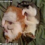 Rosamond Kuhn Profile Picture