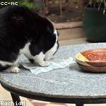 Kiana Miller Profile Picture