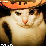 Casimer Spencer Profile Picture