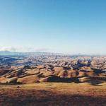 Christa Hills Profile Picture