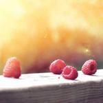 Daphne Mayer Profile Picture