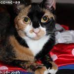 Clarabelle Pfannerstill Profile Picture