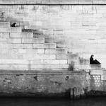 Libby Welch Profile Picture