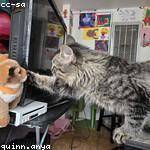 Dovie Robel Profile Picture