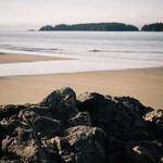 Daphne Bayer Profile Picture