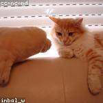 Lilian Terry Profile Picture