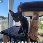 Amelie Roob Profile Picture