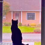 Laurence Beer Profile Picture