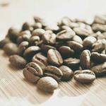 Hortense Bayer Profile Picture