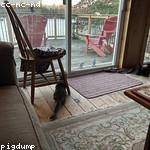 Jack Schinner Profile Picture