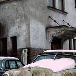 Isaac Hintz Profile Picture