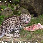 Lily Kshlerin Profile Picture