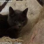 Minerva Rempel Profile Picture