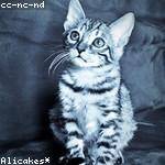 Maybelle Wolf Profile Picture