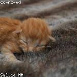 Eloisa Little Profile Picture