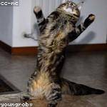 Johnson Hettinger Profile Picture