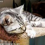 Ryan Bartell Profile Picture