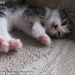 Jon McDermott Profile Picture