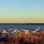 Sierra Swaniawski Profile Picture