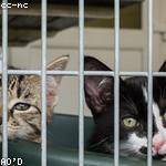 Ozella McLaughlin Profile Picture