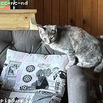 Catalina Bechtelar Profile Picture