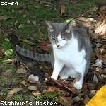 Jace Jones Profile Picture