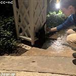 Miller Barrows Profile Picture