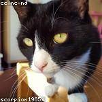 Dovie Parker Profile Picture