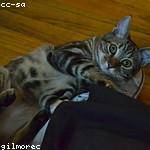 Susanna Bayer Profile Picture